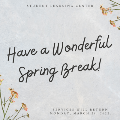 "Have a Wonderful Spring Break" Flyer. Background is a gray watercolor with watercolor flowers on the top right and bottom left corners